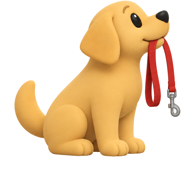 Mochi holds his red leash in his mouth and waits